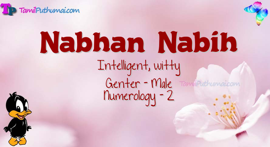 Nabhan  Nabih-babyname-meaning